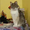 Отзыв от Альфия Круглова